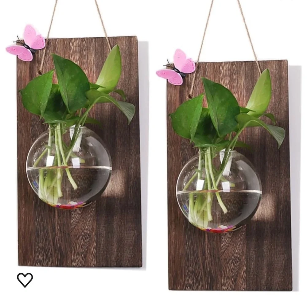 air Plant terrarium
